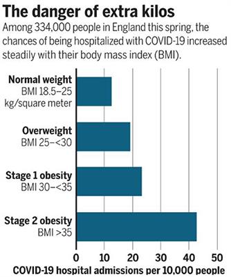 Homeostasis Disrupted and Restored—A Fresh Look at the Mechanism and Treatment of Obesity During COVID-19